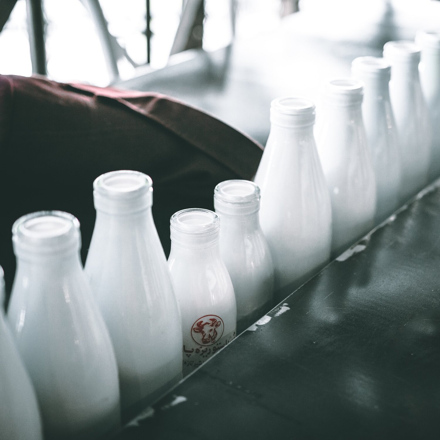 Bacteria a french scientist and the history of pasteurization union
